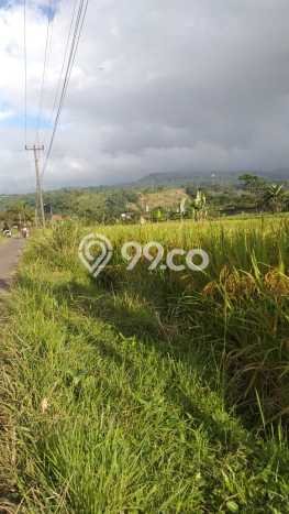 Tanah Dijual Lokasi Bogor Barat, Bogor Luas 8000m2 Legalitas Aman Tanah Dijual Lokasi Bogor Barat, Bogor Luas 8000m2 Legalitas Aman
