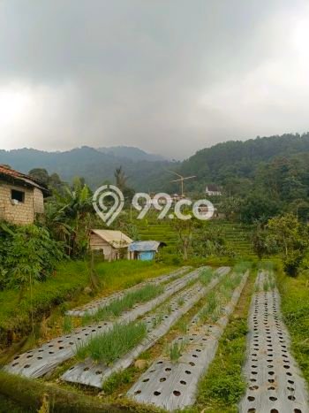 Tanah Dijual Lokasi Bogor Barat, Bogor dengan Luas Tanah 4000m2 dan Status PPJB Tanah Dijual Lokasi Bogor Barat, Bogor dengan Luas Tanah 4000m2 dan Status PPJB