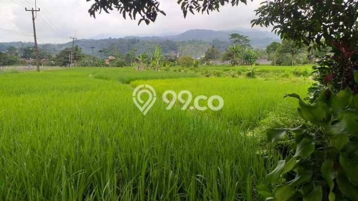Tanah Kavling di Bogor Barat Dijual dengan Luas 6000m2 Tanah Kavling di Bogor Barat Dijual dengan Luas 6000m2