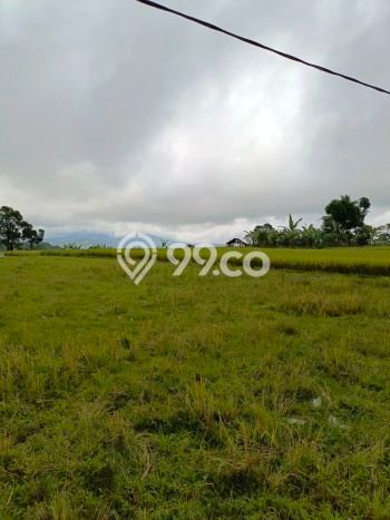 Tanah Kavling di Bogor Barat Dijual dengan Luas 4000m2 Tanah Kavling di Bogor Barat Dijual dengan Luas 4000m2