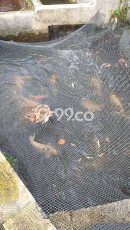 Tanah Kosong Dijual di Bogor dengan Area 800m2 Tanah Kosong Dijual di Bogor dengan Area 800m2