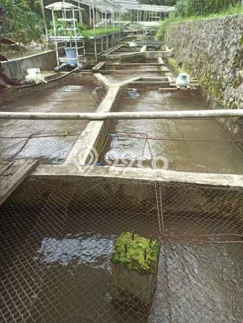 Tanah Kosong Dijual di Bogor dengan Area 800m2 Tanah Kosong Dijual di Bogor dengan Area 800m2