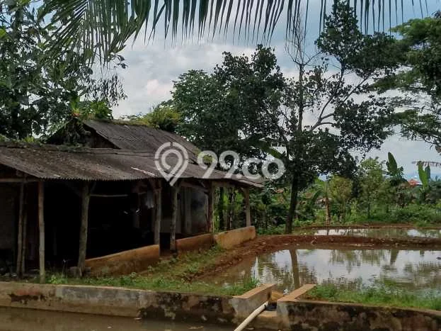 Jarang Ada! Tanah di Bogor Barat Punya Luas 2200m2 SHM Jarang Ada! Tanah di Bogor Barat Punya Luas 2200m2 SHM