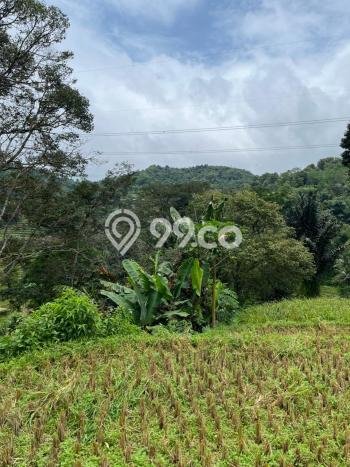 Kavling Tanah di Bogor Barat Dijual Luas 7000m2 Legalitas PPJB Kavling Tanah di Bogor Barat Dijual Luas 7000m2 Legalitas PPJB