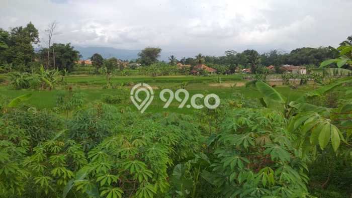 Tanah Kavling untuk Dijual di Bogor Barat Bogor 5000m2 Tanah Kavling untuk Dijual di Bogor Barat Bogor 5000m2