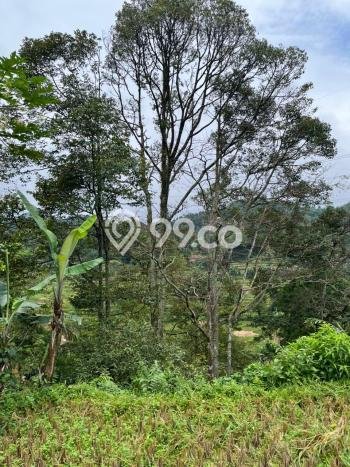 Kavling Tanah di Bogor Barat Dijual Luas 7000m2 Legalitas PPJB Kavling Tanah di Bogor Barat Dijual Luas 7000m2 Legalitas PPJB