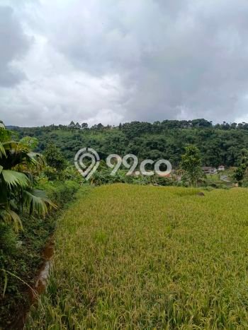 Tanah di Bogor Barat, Bogor Luas 1800m2 Dijual Segera Tanah di Bogor Barat, Bogor Luas 1800m2 Dijual Segera