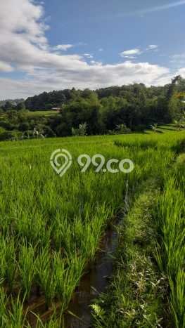 Tanah Kavling di Bogor Barat Dijual dengan Luas 6000m2 Tanah Kavling di Bogor Barat Dijual dengan Luas 6000m2