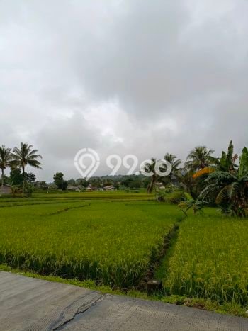 Tanah Kavling di Bogor Barat Dijual dengan Luas 4000m2 Tanah Kavling di Bogor Barat Dijual dengan Luas 4000m2