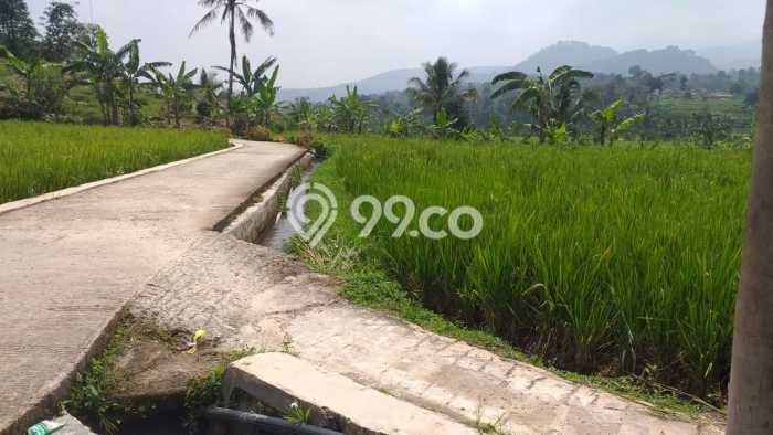 Dijual Tanah di Bogor Barat Bogor Luas 2378m2 SHM Dijual Tanah di Bogor Barat Bogor Luas 2378m2 SHM