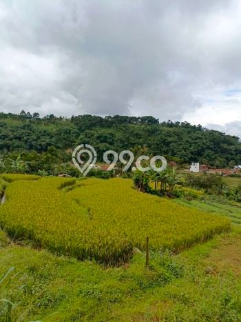 Tanah di Bogor Barat, Bogor Luas 1800m2 Dijual Segera Tanah di Bogor Barat, Bogor Luas 1800m2 Dijual Segera