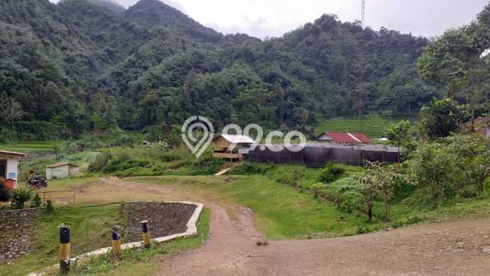 Lahan Investasi Lokasi Bogor Barat Bogor - Lahan Investasi Lokasi Bogor Barat Bogor -