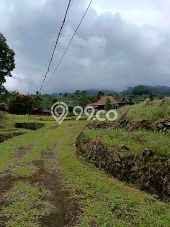 Tanah di Tenjolaya, Bogor Luas 16000m2 Dijual Segera Tanah di Tenjolaya, Bogor Luas 16000m2 Dijual Segera