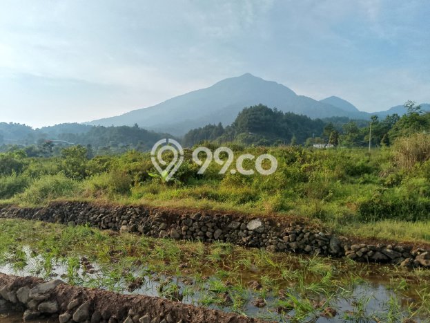 Tanah untuk Dijual di Bogor Barat Bogor Luas 3000m2 Tanah untuk Dijual di Bogor Barat Bogor Luas 3000m2