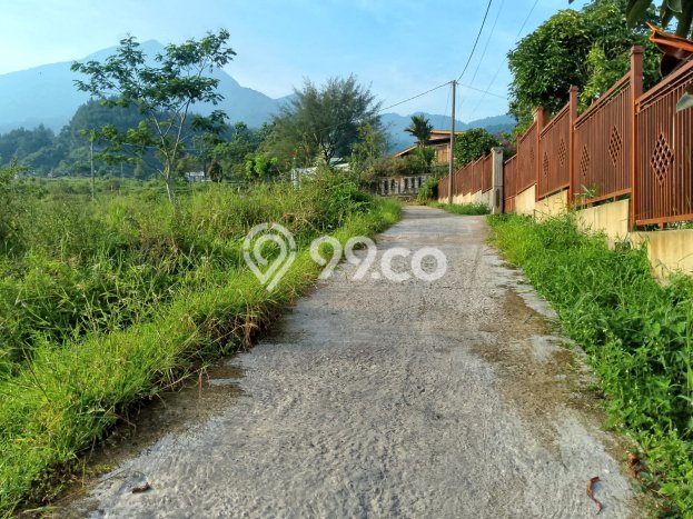 Tanah untuk Dijual di Bogor Barat Bogor Luas 3000m2 Tanah untuk Dijual di Bogor Barat Bogor Luas 3000m2