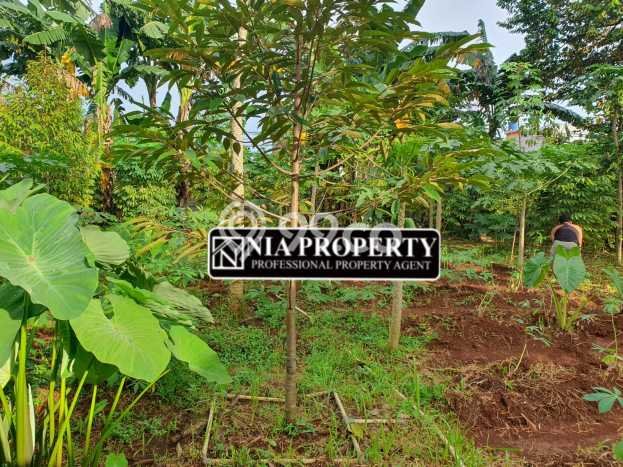 Tanah Kavling Dijual di Cibubur, Jakarta Timur dengan Luas Tanah 4300m2 Tanah Kavling Dijual di Cibubur, Jakarta Timur dengan Luas Tanah 4300m2