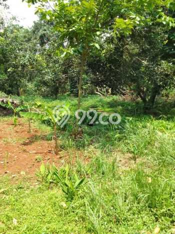 Lahan Dijual Lokasi Setu, Bekasi dengan Luas Tanah 2735m2 dan Status SHM Lahan Dijual Lokasi Setu, Bekasi dengan Luas Tanah 2735m2 dan Status SHM