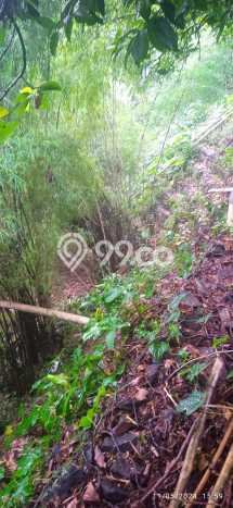 Hunian Mewah Siap Huni LT 5900m2 di Jagakarsa, Jakarta Selatan Hunian Mewah Siap Huni LT 5900m2 di Jagakarsa, Jakarta Selatan
