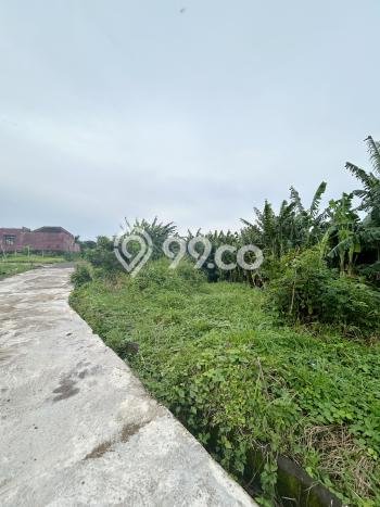 Disewakan Tanah di Badung, Luas 1225m2 Area Berkembang Disewakan Tanah di Badung, Luas 1225m2 Area Berkembang