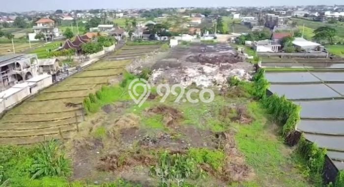 Tanah Siap Bangun Dijual di Badung Punya Luas 5610m2 Tanah Siap Bangun Dijual di Badung Punya Luas 5610m2