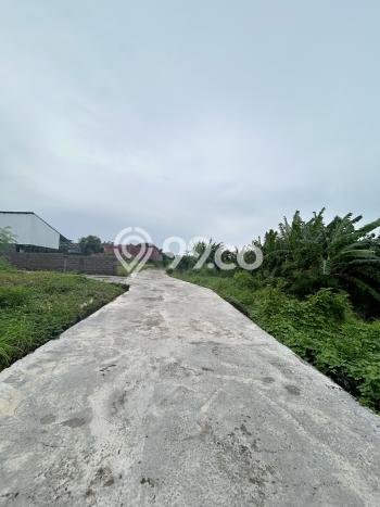 Disewakan Tanah di Badung, Luas 1225m2 Area Berkembang Disewakan Tanah di Badung, Luas 1225m2 Area Berkembang