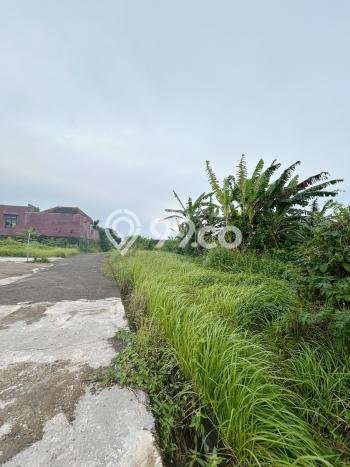 Disewakan Tanah di Badung, Luas 1225m2 Area Berkembang Disewakan Tanah di Badung, Luas 1225m2 Area Berkembang