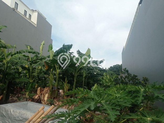 Tanah Dijual Lokasi Menteng Jakarta Pusat SHM Tanah Dijual Lokasi Menteng Jakarta Pusat SHM