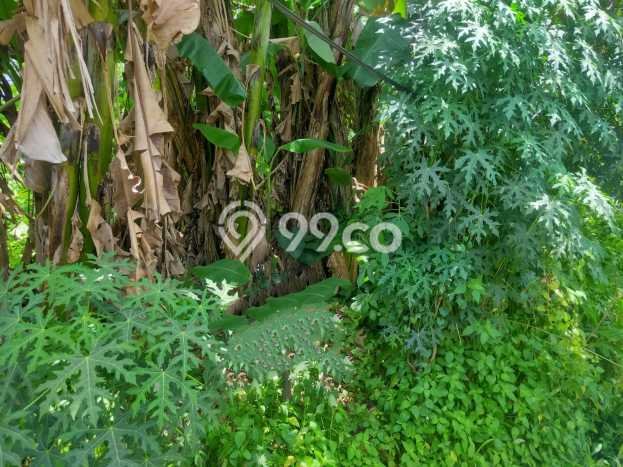 Tanah Strategis Dijual di Ciputat Tangerang Selatan 580m2 Tanah Strategis Dijual di Ciputat Tangerang Selatan 580m2