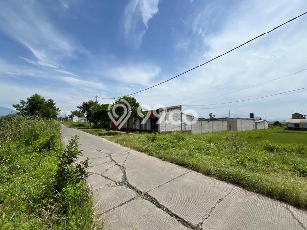 Kavling Tanah Dijual di Rancaekek, Bandung, Luas 295m2 Area Strategis Kavling Tanah Dijual di Rancaekek, Bandung, Luas 295m2 Area Strategis