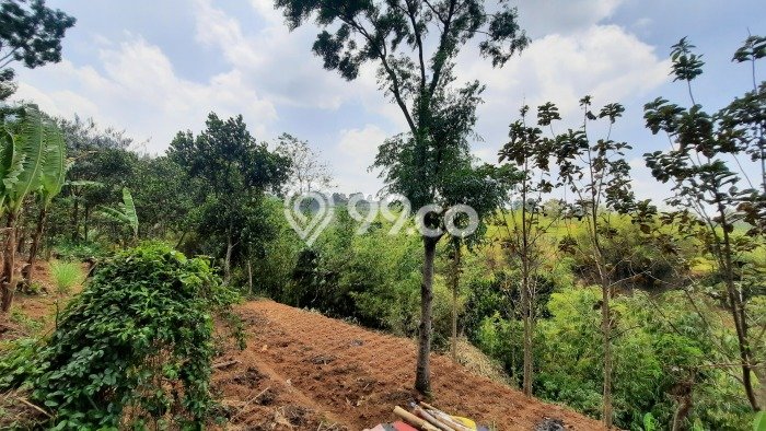 Untuk Dijual Tanah di Cibiru Bandung Luas 463m2 SHM Untuk Dijual Tanah di Cibiru Bandung Luas 463m2 SHM