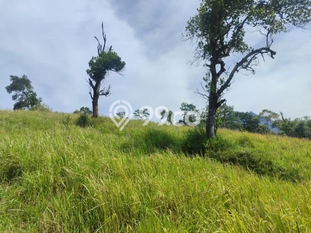 Lahan Kosong Dijual di Cileunyi, Bandung, Luas 127m2 Area Strategis Lahan Kosong Dijual di Cileunyi, Bandung, Luas 127m2 Area Strategis