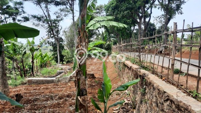 Tanah Kavling Dijual di Bandung Timur, Bandung dengan Luas Tanah 463m2 Tanah Kavling Dijual di Bandung Timur, Bandung dengan Luas Tanah 463m2