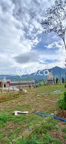 Jarang Ada! Tanah di Sukamakmur Punya Luas 1000m2 SHM Jarang Ada! Tanah di Sukamakmur Punya Luas 1000m2 SHM