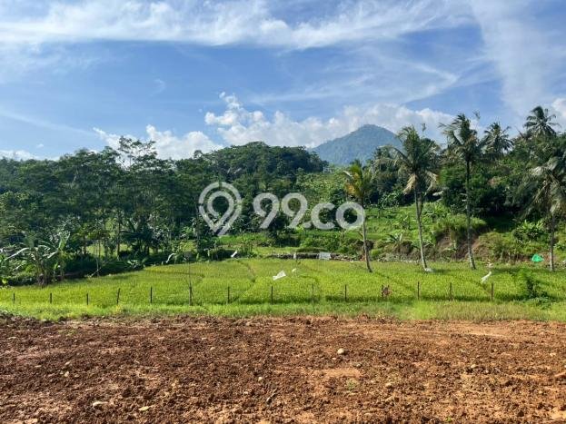 Lahan Dijual Lokasi Strategis di Bogor dengan Luas 500m2 Lahan Dijual Lokasi Strategis di Bogor dengan Luas 500m2
