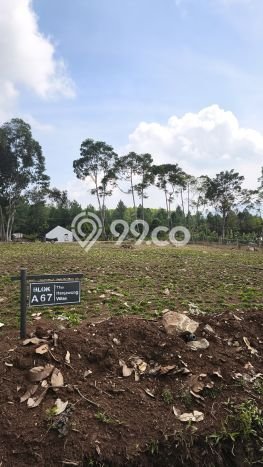 Tanah Dijual Lokasi Sukma Jaya, Depok dengan Luas Tanah 1000m2 dan Status SHM Tanah Dijual Lokasi Sukma Jaya, Depok dengan Luas Tanah 1000m2 dan Status SHM
