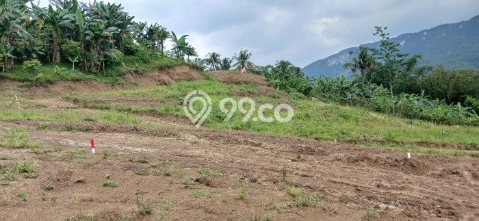 Lahan untuk Dijual di Citeureup Bogor Luas 100m2 Lahan untuk Dijual di Citeureup Bogor Luas 100m2