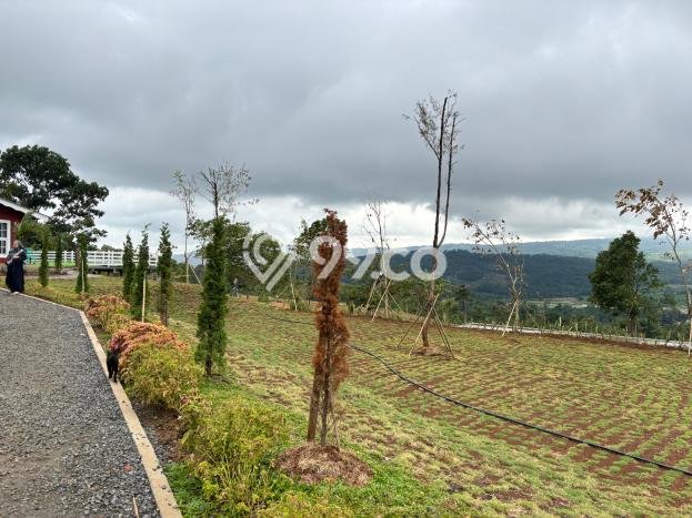 Tanah Strategis Dijual di Bogor Timur Bogor 500m2 Tanah Strategis Dijual di Bogor Timur Bogor 500m2