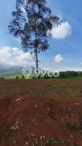 Lahan Investasi Lokasi Bogor Timur Bogor SHM Lahan Investasi Lokasi Bogor Timur Bogor SHM