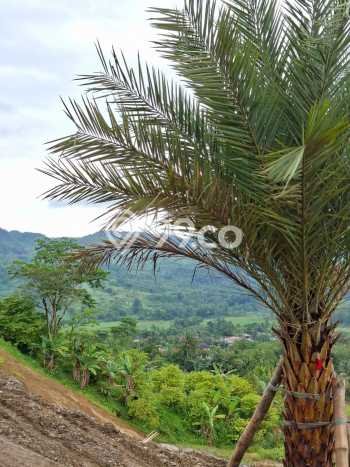 Tanah Kavling Dijual di Bogor dengan Spesifikasi 900m2 Tanah Kavling Dijual di Bogor dengan Spesifikasi 900m2