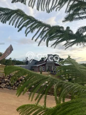 Untuk Dijual Tanah 800m2 di Puncak, Bogor Untuk Dijual Tanah 800m2 di Puncak, Bogor
