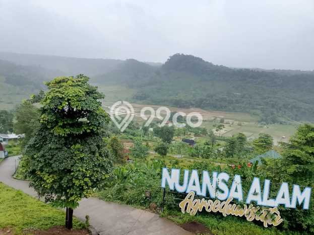 Tanah Kavling Dijual di Bogor dengan Spesifikasi 1000m2 Tanah Kavling Dijual di Bogor dengan Spesifikasi 1000m2