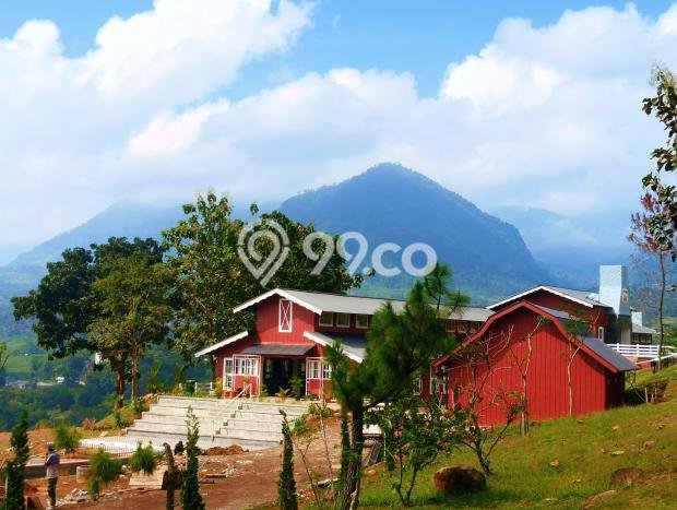 Kavling Tanah di Beji Dijual Luas 500m2 Legalitas SHM Kavling Tanah di Beji Dijual Luas 500m2 Legalitas SHM