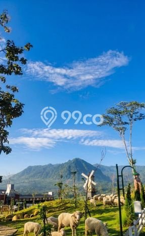 Dijual Tanah di Bogor, Luas 1000m2 SHM Dijual Tanah di Bogor, Luas 1000m2 SHM