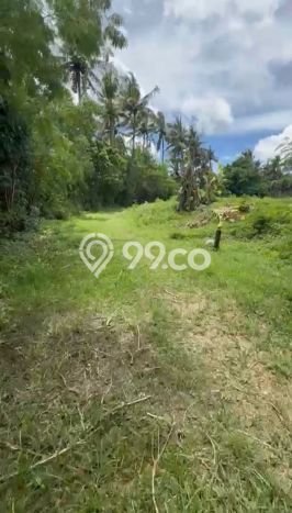 Lahan Strategis di Blahbatuh Dijual dengan Luas 2657m2 Lahan Strategis di Blahbatuh Dijual dengan Luas 2657m2