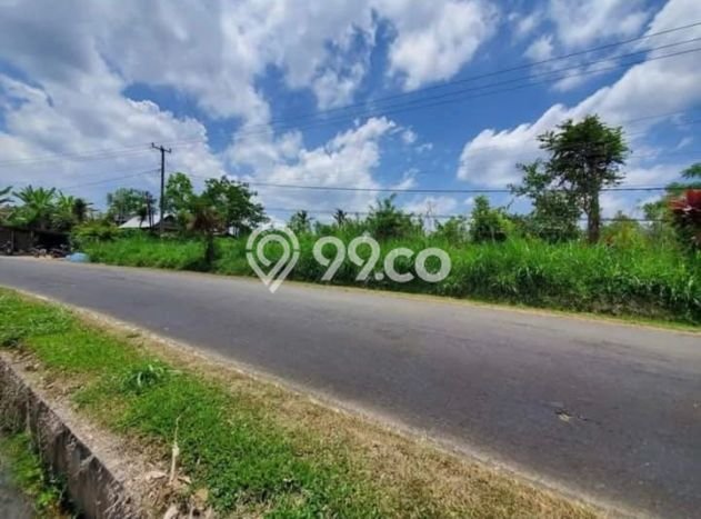 Tanah Kavling untuk Dijual di Petang Badung 4200m2 Tanah Kavling untuk Dijual di Petang Badung 4200m2