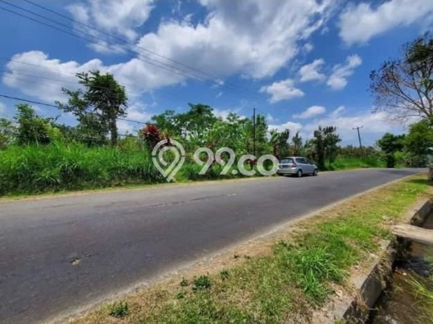 Tanah Kavling untuk Dijual di Petang Badung 4200m2 Tanah Kavling untuk Dijual di Petang Badung 4200m2