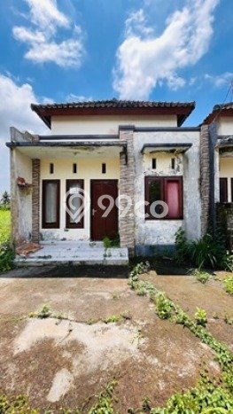 Jual Rumah Harga Miring Tabanan Punya 2 Kamar & LT 70m2 Jual Rumah Harga Miring Tabanan Punya 2 Kamar & LT 70m2