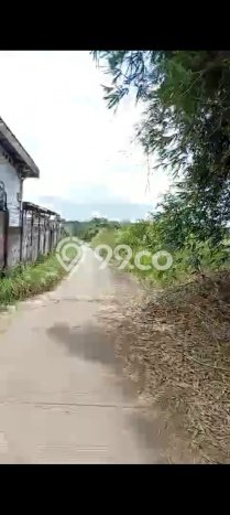 Tanah Dijual Lokasi Tangerang, Tangerang dengan Luas Tanah 80000m2 dan Status SHM Tanah Dijual Lokasi Tangerang, Tangerang dengan Luas Tanah 80000m2 dan Status SHM