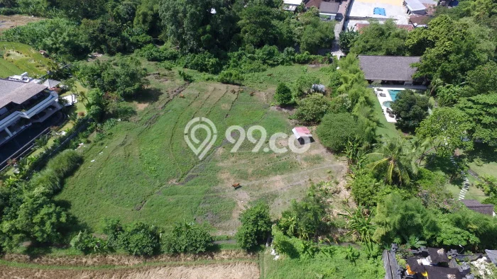 Dijual Tanah Lokasi Kerobokan, Badung Seluas 4550m2 Dijual Tanah Lokasi Kerobokan, Badung Seluas 4550m2