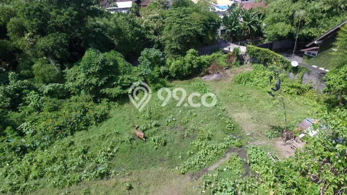 Dijual Tanah Lokasi Kerobokan, Badung Seluas 4550m2 Dijual Tanah Lokasi Kerobokan, Badung Seluas 4550m2